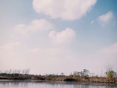-盐城丹顶鹤湿地生态旅游区
