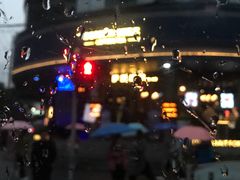 -上海南新雅大酒店