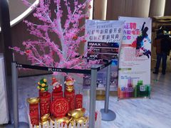-SFC上影影城(港汇永华IMAX激光店)