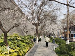 -西安市广仁寺