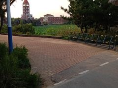-日照海滨国家森林公园