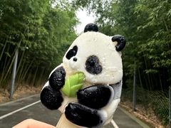 -都江堰中华大熊猫苑