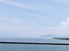 -野菌皇海景野生菌火锅(滨海大道店)
