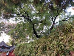 -天宁寺