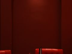 -红东阁东北菜烤肉酒馆(CROSS万象汇店)