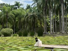 -中国科学院西双版纳热带植物园