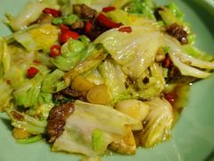 -陈麻婆豆腐总店