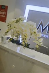 -MIVI半永久纹眉纹绣