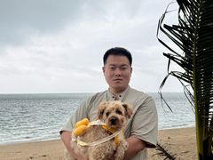 -东郊椰林