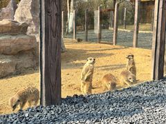 -茅山东方盐湖城景区
