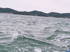 -皮口港