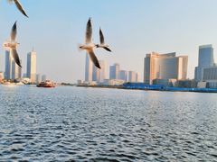 -海河外滩公园