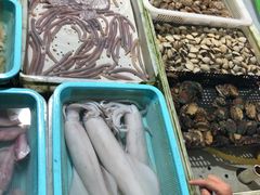 -大湾区中央湿地公园-十九涌