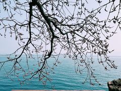 -抚仙湖禄充风景区