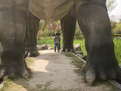 -自然谷恐龙园