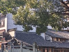-乌镇东栅景区