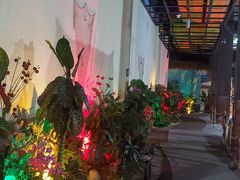 -泉城欧乐堡戏水湾艺术养生温泉