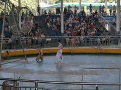 -泉州海丝野生动物世界