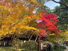 -西湖外事游船(花港观鱼码头)