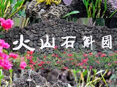 -海口火山口国家地质公园