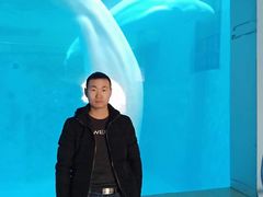 -蓬莱欧乐堡海洋极地世界