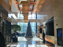 -上海龙之梦万丽酒店