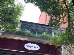 -哈根达斯(武汉天地店)