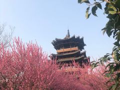 -杭州半山国家森林公园