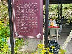 -宁波浙东大竹海景区