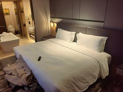 -上海虹桥祥源希尔顿酒店