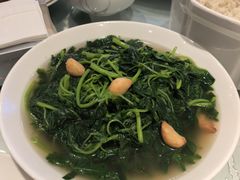 上汤苋菜-益健名厨海鲜城(夏湾店)