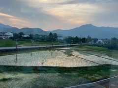 -黄牛肉馆·皖南土菜