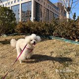 周末的阳光，不能放过