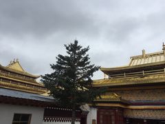 -达仓郎木寺院