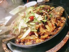 -老板恋上鱼(恒隆广场店)