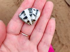 -瑜上·山食小馆