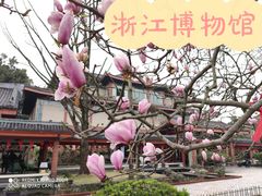 -浙江省博物馆(孤山馆区)