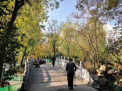 -莲湖公园