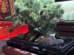 -芝小官毛肚火锅海鲜自助(淮安清江浦区新亚店)