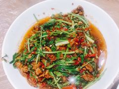 香菜炒牛肉-壹盏灯(惠农店)
