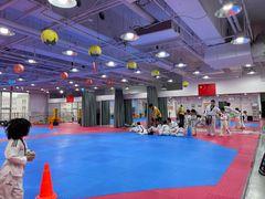 -陈中跆拳道(中关村馆)