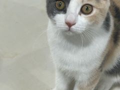 -万达广场(南宁青秀店)