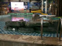 -南宫温泉水世界