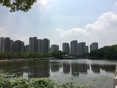 -新江湾城公园