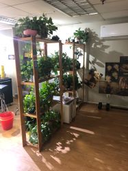 -英刺青 纹身 洗纹身
