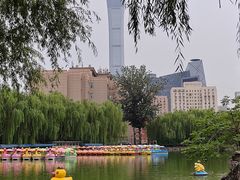 -团结湖公园