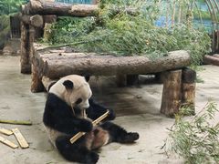 -杭州动物园