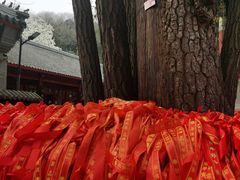 -红螺寺