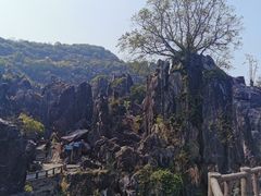 -玉石林风景区