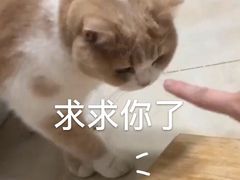 -吉兆·料理(红梅南路店)